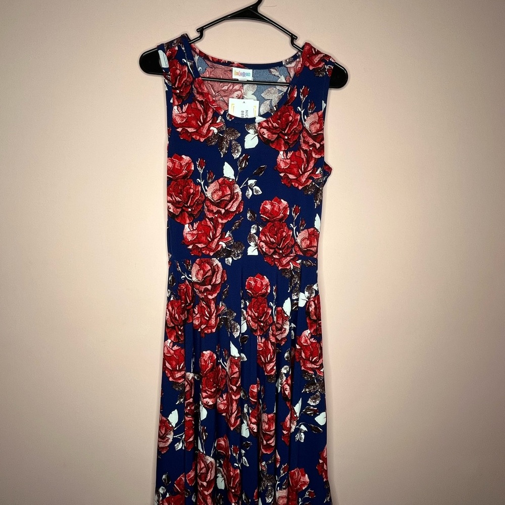 NWT LulaRoe Nicki Dress